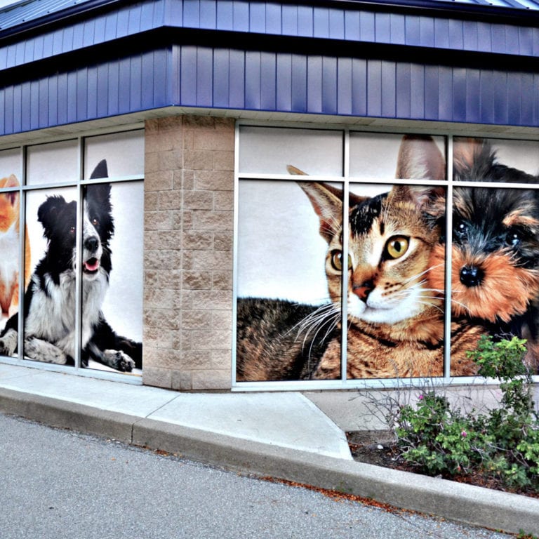 window-graphics-lg-hausys-canada-2